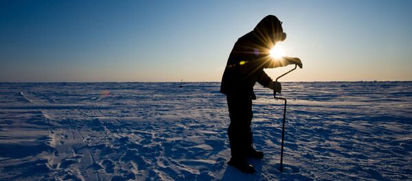 北極 北極 - Sputnik 日本