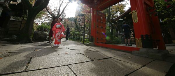 明治神宮で液体の跡　鳥居や門の柱、油か - Sputnik 日本