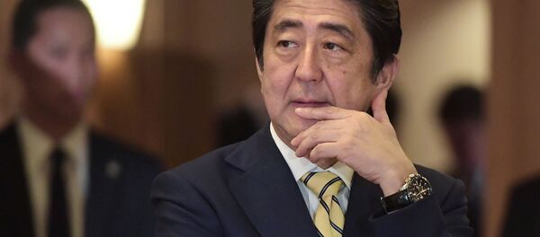 安倍首相、TPP離脱の米国との2国間経済連携協定は可能 安倍首相、TPP離脱の米国との2国間経済連携協定は可能 - Sputnik 日本