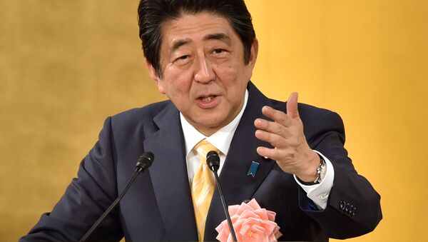 憲法施行７０年に関し、「新しい国造りへ挑戦」－安倍首相 - Sputnik 日本