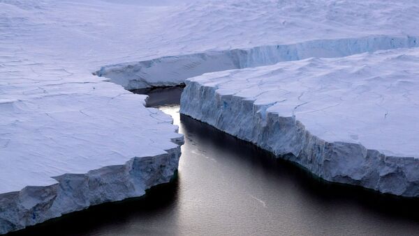 南極で巨大氷塊が間もなく分離へー学者 - Sputnik 日本