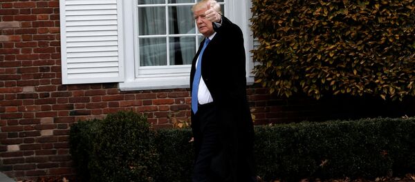 トランプ氏の大統領就任後、米国は係争中の南シナ海の島々に関する立場を変えるのか? トランプ氏の大統領就任後、米国は係争中の南シナ海の島々に関する立場を変えるのか? - Sputnik 日本