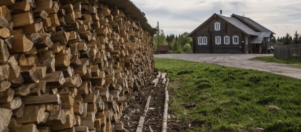 村 村 - Sputnik 日本