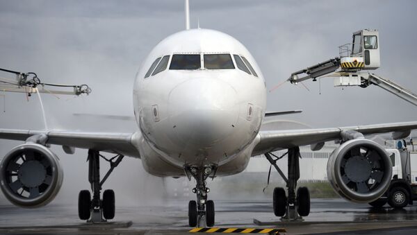 ノースカロライナ州の空港　トナカイが飛行機と衝突死 - Sputnik 日本