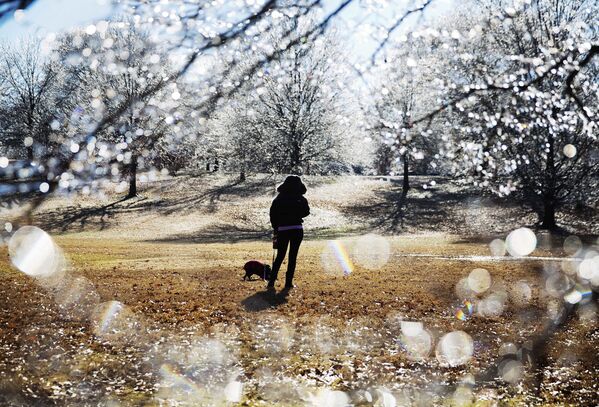 アトランタの公園、犬と散歩する女性 - Sputnik 日本