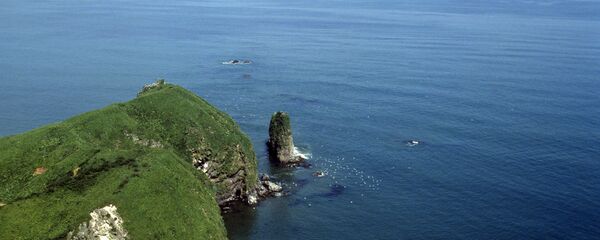 世論調査:ロシア人の77%が、日本へのクリル譲渡に反対 世論調査:ロシア人の77%が、日本へのクリル譲渡に反対 - Sputnik 日本