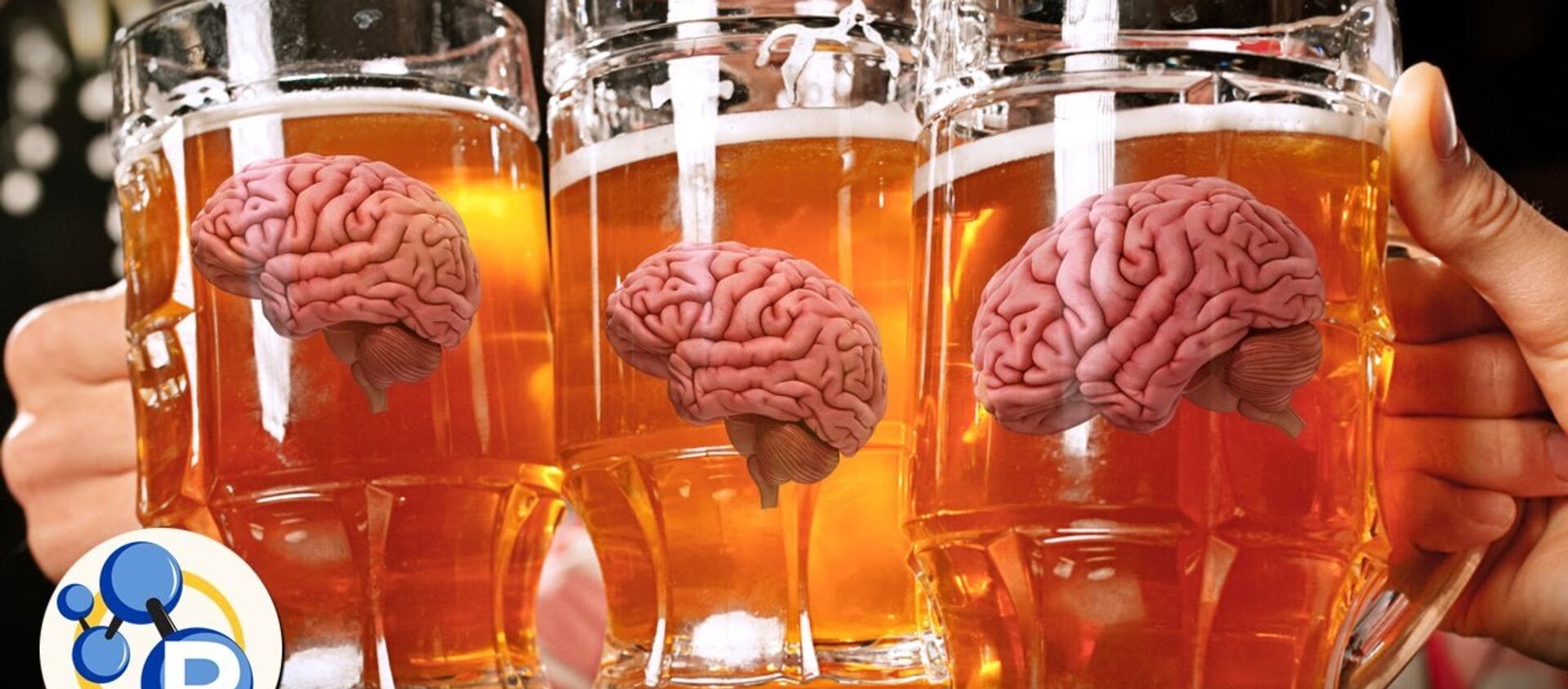 脳にアルコールはどう影響？ - Sputnik 日本, 1920, 22.05.2021