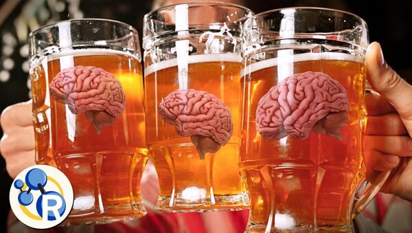 脳にアルコールはどう影響？ - Sputnik 日本