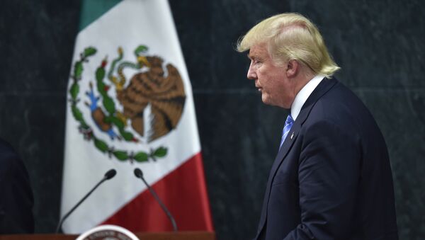 トランプ大統領とメキシコ国旗 - Sputnik 日本