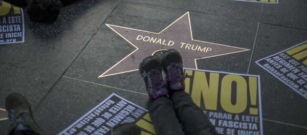 「入国禁止にノー、壁にノー、トランプにノー」-  米国各地で抗議デモ、連続 - Sputnik 日本