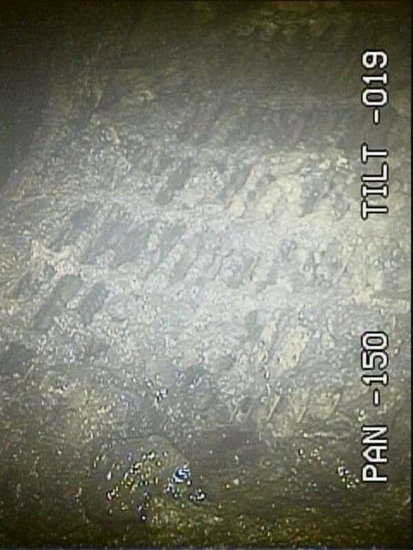 グレーチング上堆積物 - Sputnik 日本