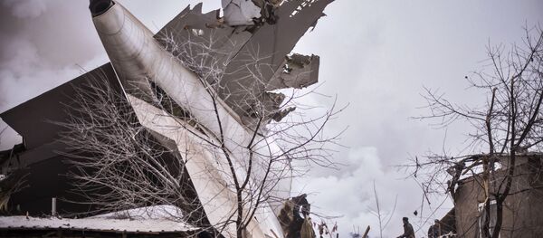 米ジョージア州　航空機が民家に墜落　【動画・写真】 - Sputnik 日本