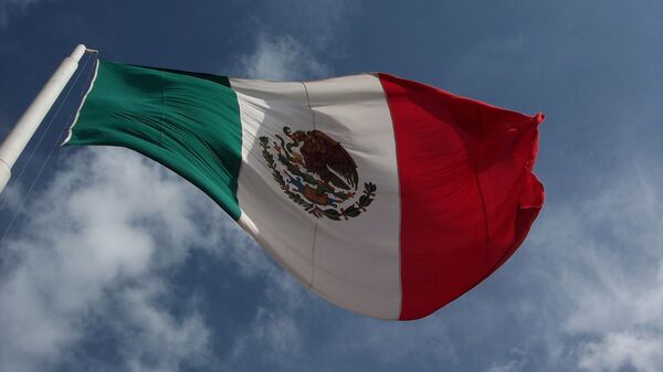 メキシコの国旗 - Sputnik 日本