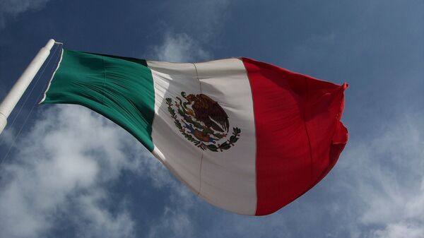 メキシコ、ＮＡＦＴＡ先行き不確定でＥＵとの交渉を迅速化 - Sputnik 日本