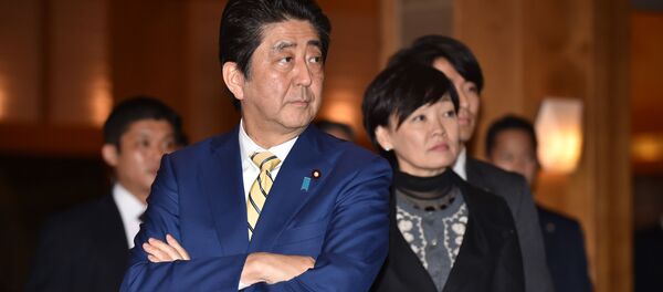欧州は待つ なぜ安倍首相は欧州歴訪を短縮したのか? 欧州は待つ なぜ安倍首相は欧州歴訪を短縮したのか? - Sputnik 日本
