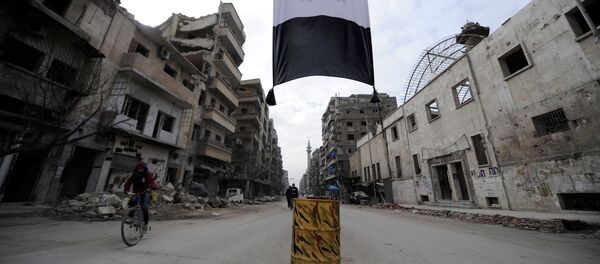 シリア憲法草案　スプートニクが入手 - Sputnik 日本