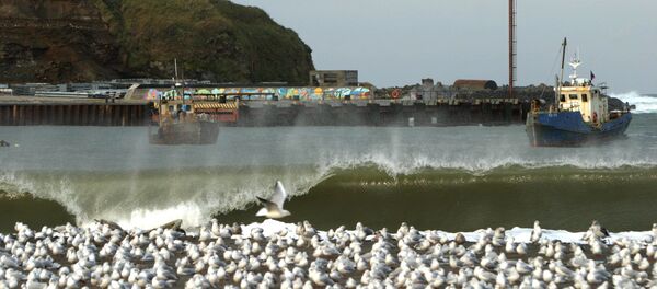 南クリル(北方四島)での日本との共同経済活動計画に終止符か? 露、経済特区指定を決定 南クリル(北方四島)での日本との共同経済活動計画に終止符か? 露、経済特区指定を決定 - Sputnik 日本