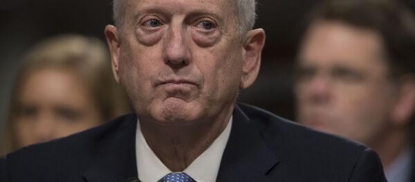 マティス長官、６月訪日へ - Sputnik 日本