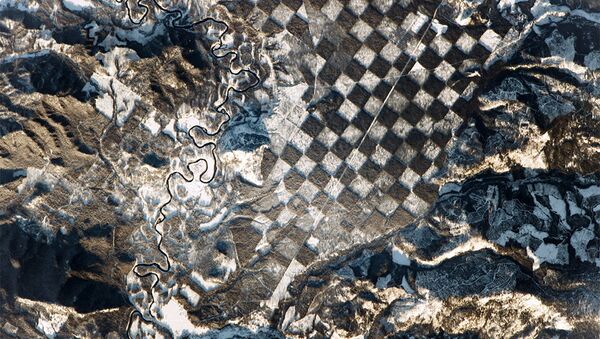 森がチェスボードに変貌、米国 - Sputnik 日本