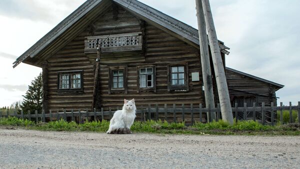 Жилой деревянный дом в деревне Кинерма в Карелии - Sputnik 日本