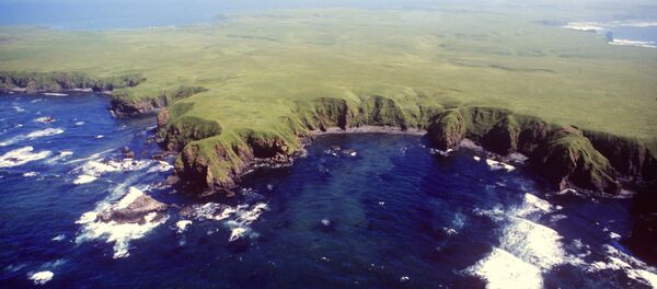 日露は南クリルへの飛行機往来を検討している―日本外相 - Sputnik 日本