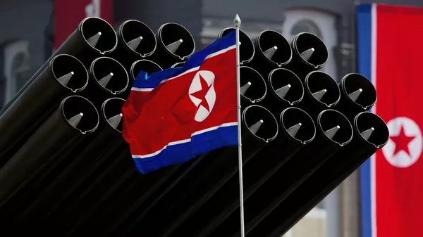 北朝鮮、新型ミサイルの発射実験を成功に - Sputnik 日本