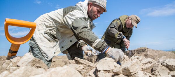 イラン 巨人の墓が発見 イラン 巨人の墓が発見 - Sputnik 日本