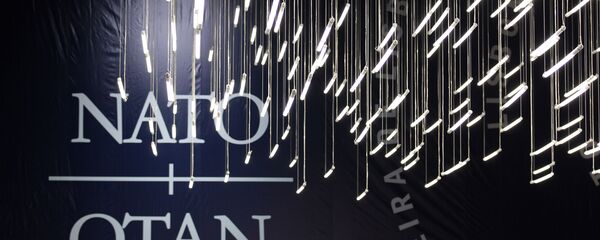 世論調査:NATO加盟4カ国の人々「ロシアと同盟した方がいい」 世論調査:NATO加盟4カ国の人々「ロシアと同盟した方がいい」 - Sputnik 日本