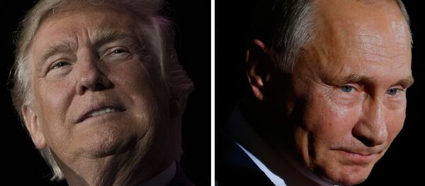 露外務省 プーチン大統領とトランプ大統領の会談準備について語る 露外務省 プーチン大統領とトランプ大統領の会談準備について語る - Sputnik 日本