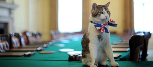 ラリー - Sputnik 日本