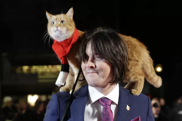 猫のボブ。飼い主は作家のジェームズ・ボーエンさんだ。「ボブという名のストリートキャット」で有名になった。 猫のボブ。飼い主は作家のジェームズ・ボーエンさんだ。「ボブという名のストリートキャット」で有名になった。 - Sputnik 日本