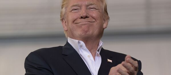 サウジアラビア 副皇太子とトランプ米大統領の会談は2国間関係の歴史的転換点 サウジアラビア 副皇太子とトランプ米大統領の会談は2国間関係の歴史的転換点 - Sputnik 日本