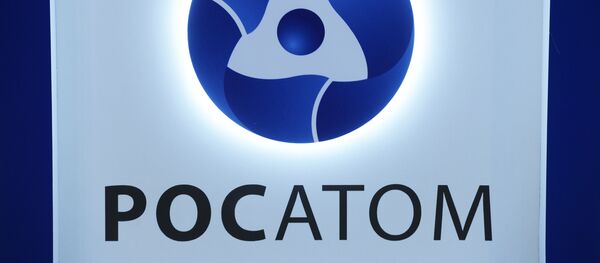 日露 原子力プロジェクト討議の用意 日露 原子力プロジェクト討議の用意 - Sputnik 日本