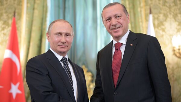 トルコ大統領、プーチン大統領との共通点を語る - Sputnik 日本