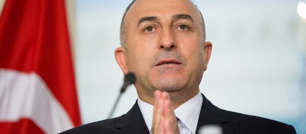 チャブシオール外相 - Sputnik 日本