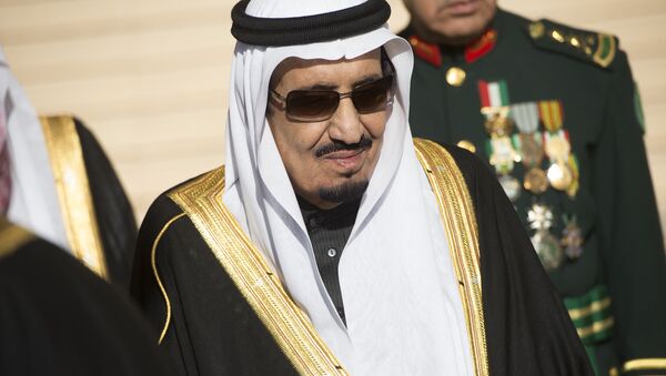 サウジに経済特区創設合意　 安倍首相とサルマン国王 - Sputnik 日本
