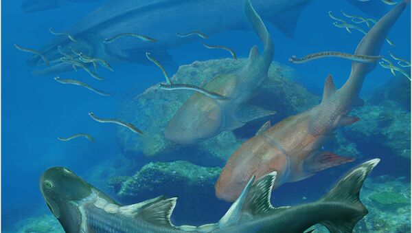 4億2000年前の新種古代魚の化石を発見　中国 - Sputnik 日本