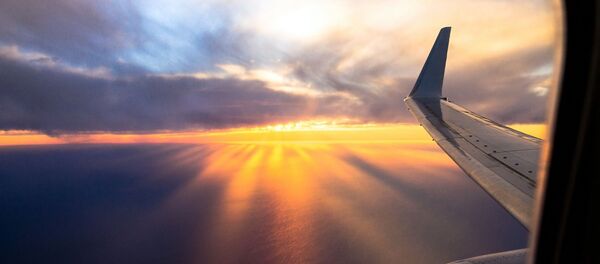 飛行機 飛行機 - Sputnik 日本