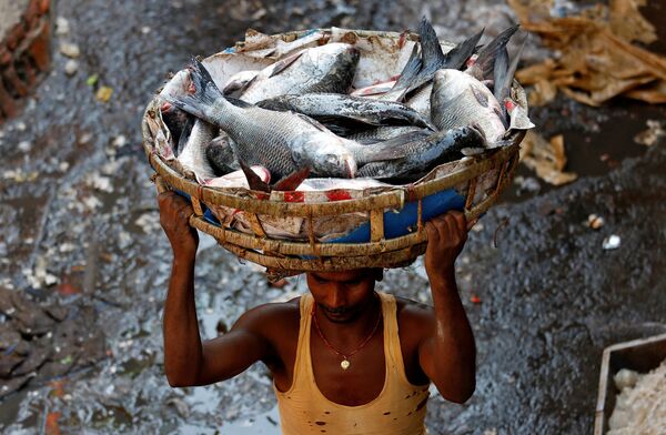 魚を詰めたカゴと男性、インドの市場で - Sputnik 日本