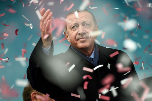 トルコのエルドアン大統領　イスタンブールの大会で - Sputnik 日本