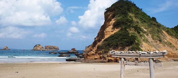 日本にとって今 島が非常に必要 日本にとって今 島が非常に必要 - Sputnik 日本