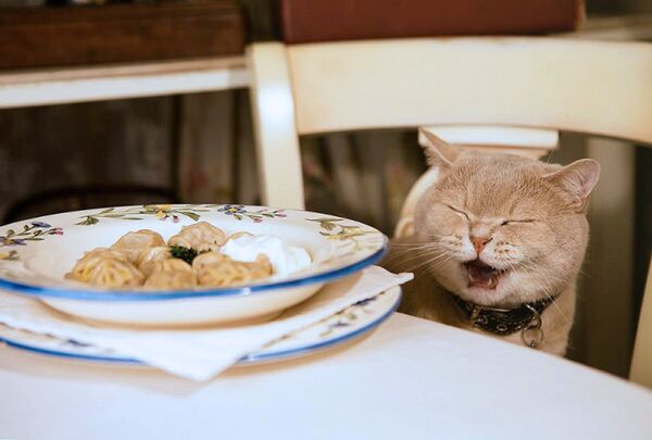 <a href=https://jp.rbth.com/arts/cuisine/2017/02/05/694918 target=_blank>本物のロシア料理をモスクワで探す </a> - Sputnik 日本