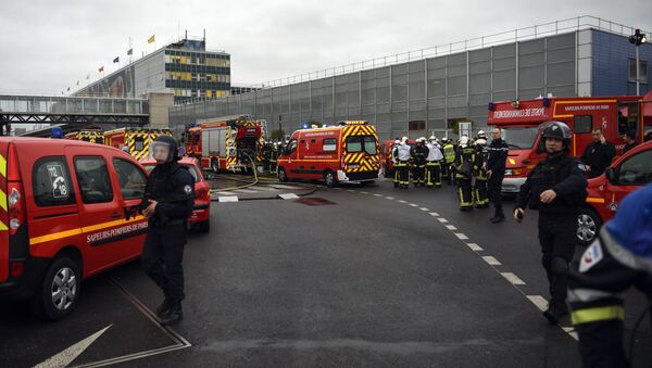 空港で軍人襲撃の男、パリ北部でも警官に発砲 - Sputnik 日本