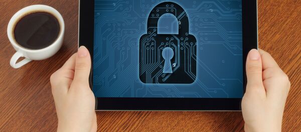 中国で国内初のインターネット裁判所の開設が承認される 中国で国内初のインターネット裁判所の開設が承認される - Sputnik 日本