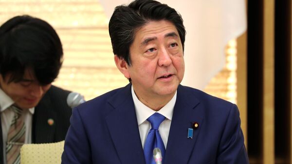 日加、ＷＴＯルール維持で一致　首脳会談、米輸入制限で - Sputnik 日本
