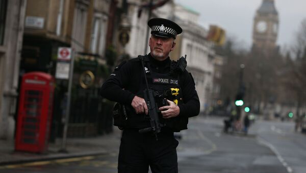 ロンドン警察、テロ２件が準備されていると伝える - Sputnik 日本