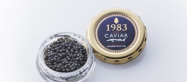 宮崎キャビア1983 - Sputnik 日本