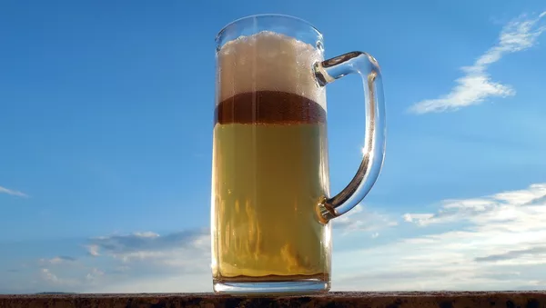 ロシアのクラフトビールはいかがですか？ - Sputnik 日本