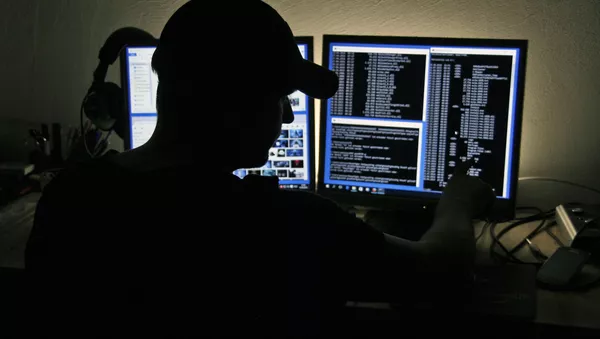ハッカー - Sputnik 日本