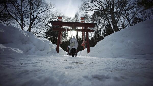 Монастырские ворота в префектуре Тотиги, Япония - Sputnik 日本